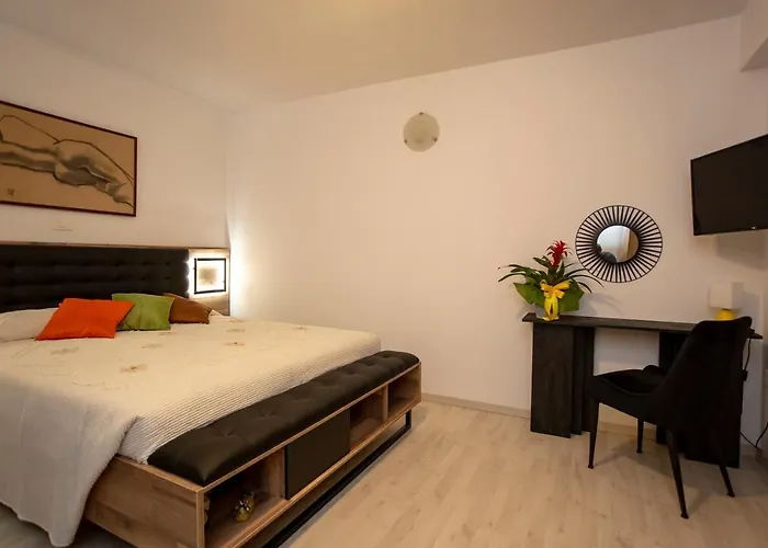 Zonta Rovinj