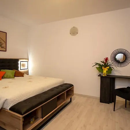 Zonta Rovinj